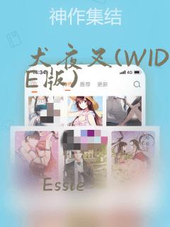 犬夜叉(WIDE版)：结局+番外