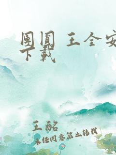 团圆 王全安 下载