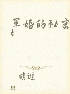 军婚的秘密txt