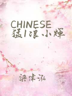 CHINESE猛1浪小辉