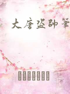 大唐盗帅笔趣阁