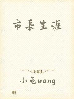 市长生涯