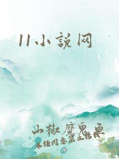 11小说网