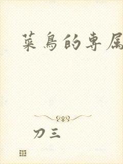 菜鸟的专属大神