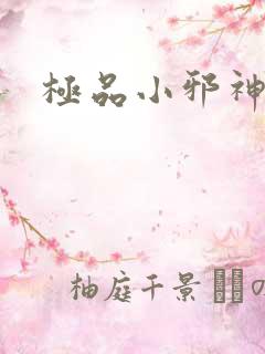 极品小邪神