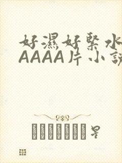 好湿好紧水多AAAAA片小说