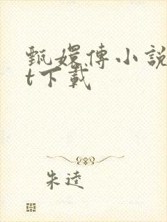 甄嬛传小说txt下载