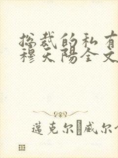 总裁的私有宝贝穆天阳全文阅读