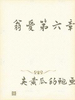 翁爱第六章