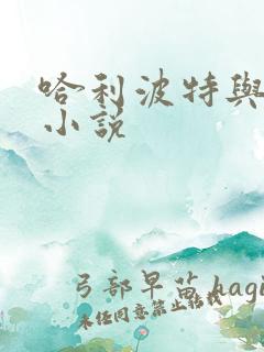 哈利波特与密室小说