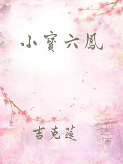 小宝六凤