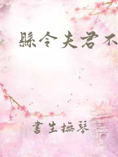 县令夫君不升堂