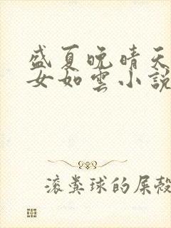 盛夏晚晴天之美女如云小说