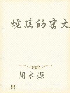 烧焦的密文