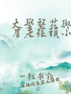 大学系花与锅炉房老张头小说