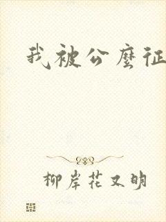 我被公么征服了