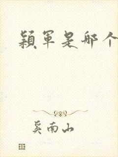 颖军是哪个军阀