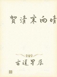 贺清寒向晴小说