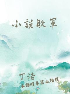 小说败军