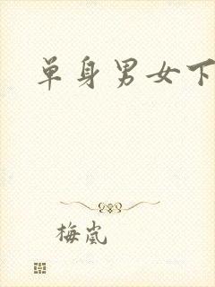 单身男女下载