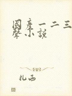 国产一二三区有声小说