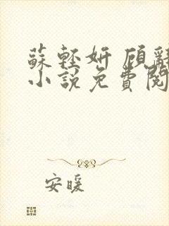 苏轻妍 顾辞笙小说免费阅读