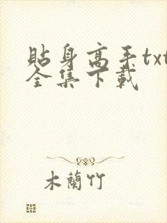 贴身高手txt全集下载