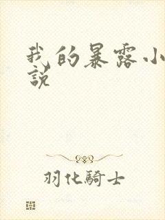我的暴露小说小说
