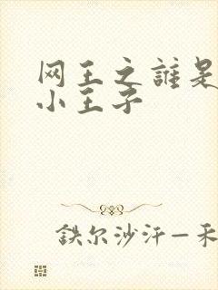 网王之谁是我的小王子