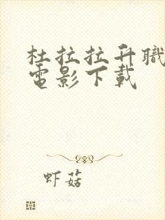 杜拉拉升职记 电影下载