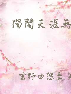 独闯天涯无弹窗