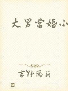 大男当婚小说