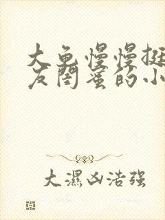 大龟慢慢挺进女友闺蜜的小说