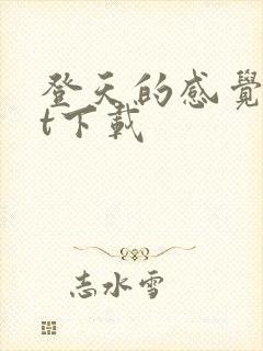 登天的感觉txt下载