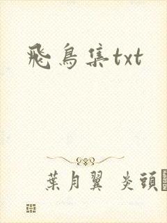 飞鸟集txt