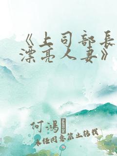 《上司部长出轨漂亮人妻》