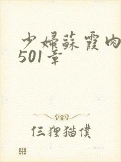 少妇苏霞肉欲第501章