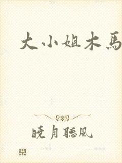 大小姐木马