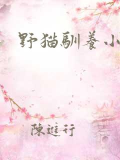 野猫驯养小说