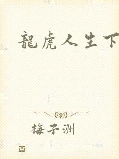 龙虎人生下载