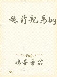 越前龙马bg