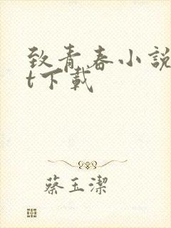 致青春小说txt下载