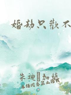 婚劫只欢不爱
