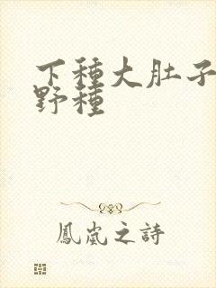 下种大肚子怀孕野种