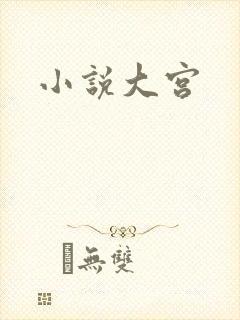 小说大宫