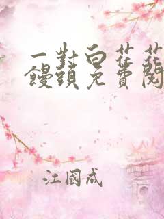 一对白花花的大馒头免费阅读