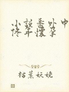 小说番外中结局佟年怀孕