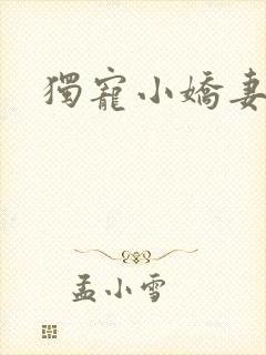 独宠小娇妻