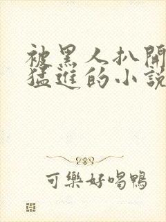 被黑人扒开双腿猛进的小说