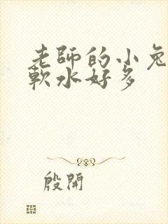 老师的小兔子好软水好多